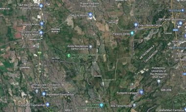 1.5has Commercial/Industrial Lot For Lease in Dasmariñas, Cavite