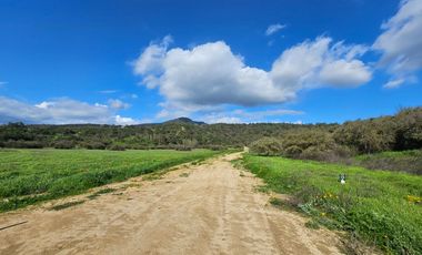 Espectaculares Mega Parcelas de 20.000 m2 Lo Orozco / Casablanca