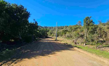 Parcelas de 20.000 m, rol, agua y luz. Ruta lo Orozco / Casablanca