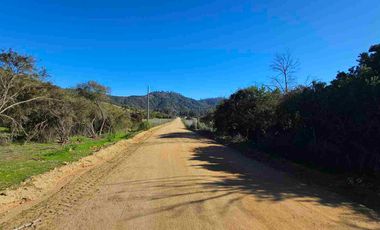 Parcelas de 20.000 m, rol, agua y luz. Ruta lo Orozco / Casablanca