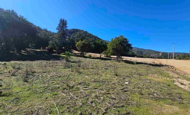 Parcelas de 20.000 m, rol, agua y luz. Ruta lo Orozco / Casablanca