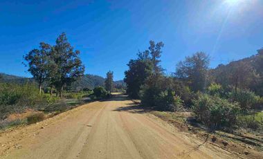 Parcelas de 20.000 m, rol, agua y luz. Ruta lo Orozco / Casablanca