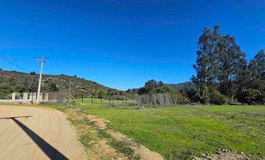 Parcelas de 20.000 m, rol, agua y luz. Ruta lo Orozco / Casablanca