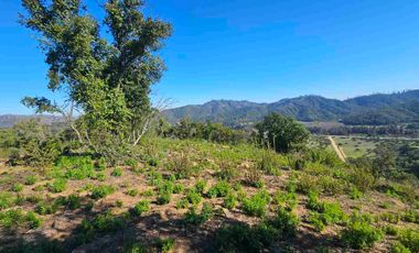 Parcelas de 20.000 m, rol, agua y luz. Ruta lo Orozco / Casablanca