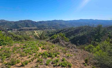 Parcelas de 20.000 m, rol, agua y luz. Ruta lo Orozco / Casablanca