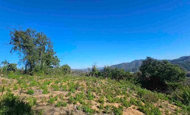 Parcelas de 20.000 m, rol, agua y luz. Ruta lo Orozco / Casablanca