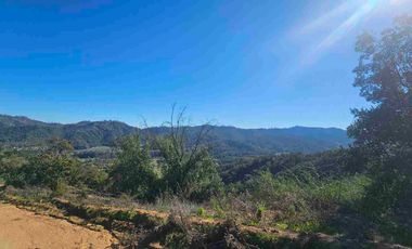 Parcelas de 20.000 m, rol, agua y luz. Ruta lo Orozco / Casablanca