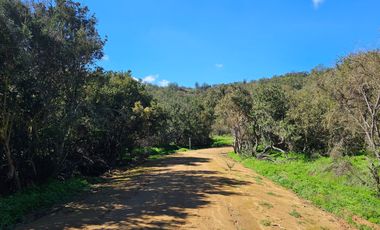 Espectaculares Mega Parcelas de 20.000 m2 Lo Orozco / Casablanca