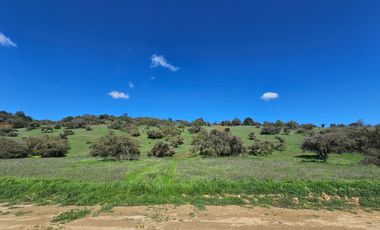 Espectaculares Mega Parcelas de 20.000 m2 Lo Orozco / Casablanca