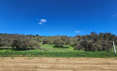 Espectaculares Mega Parcelas de 20.000 m2 Lo Orozco / Casablanca