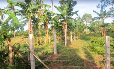 AGRICULTURAL LOT FOR SALE IN PANTIHAN IV