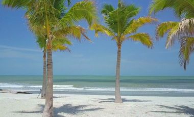 ¡NUEVO! en PLAYA CARACOL