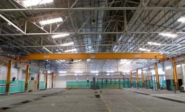 11,642 sqm Warehouse for Rent in Laguna International Industrial Park, Biñan, Laguna