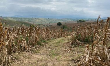 Finca de Venta en san vicente manabi