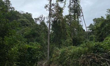 Finca de Venta en san vicente manabi