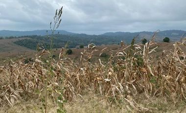 Finca de Venta en san vicente manabi