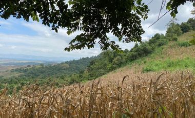Finca de Venta en san vicente manabi