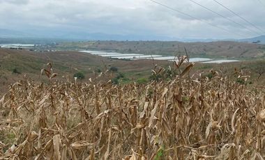 Finca de Venta en san vicente manabi