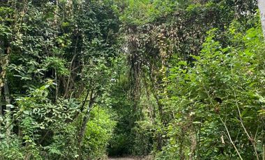 Finca de Venta en san vicente manabi