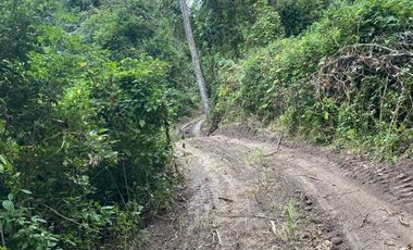 Finca de Venta en san vicente manabi