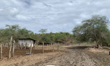 Finca de Venta en san vicente manabi