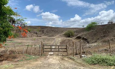 Finca de Venta en san vicente manabi