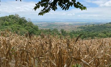 Finca de Venta en san vicente manabi