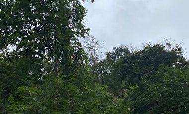 Finca de Venta en san vicente manabi