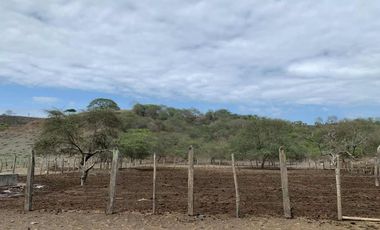 Finca de Venta en san vicente manabi