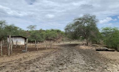 Finca de Venta en san vicente manabi