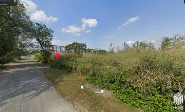 Land for sale in San kam phaeng 1Rai 3ngan 95sq.wa.  near  Charoen Charoen market (ID: 229LS)