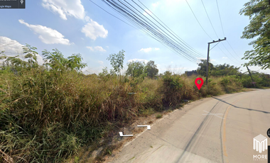 Land for sale in San kam phaeng 1Rai 3ngan 95sq.wa.  near  Charoen Charoen market (ID: 229LS)