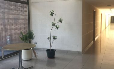 Rebajado - Estudio metro Santa Ana
