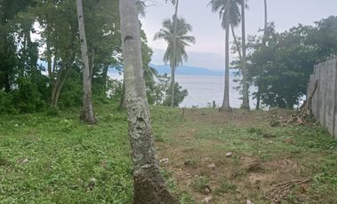 SB002 |  Beach in Samal Island For Sale