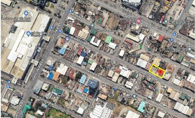 Commercial Vacant Lot for Lease in North Reclamation Area NRA, Cebu City