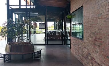 Local Comercial disponible en Plaza Azuna en Cancún centro, Quintana Roo.