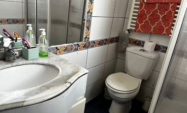 Miraflores bajo, Los Platanos