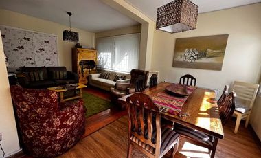 Miraflores bajo, Los Platanos