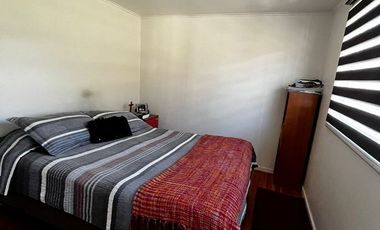 Miraflores bajo, Los Platanos