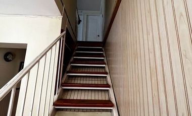 Miraflores bajo, Los Platanos