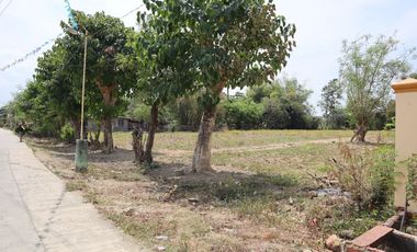 Lot for Sale in Lomboy Villasis, Pangasinan