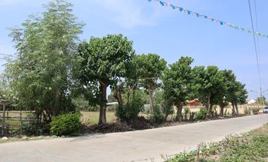 Lot for Sale in Lomboy Villasis, Pangasinan