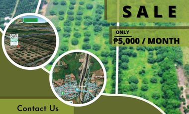 FOR INSTALLMENT - Land for Sale in Sta Lucia Capas Tarlac - 13 minutes away New Clark City