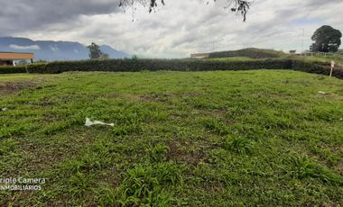 Lote en venta en Armenia Quindio