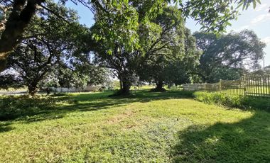 714 Sqm Fairway Lot in Orchard Golf & Country Club Salitran Dasmarinas Cavite