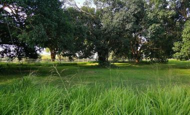 714 Sqm Fairway Lot in Orchard Golf & Country Club Salitran Dasmarinas Cavite