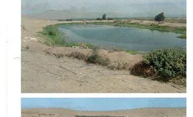 Terreno de 56 hectareas al norte de Chancay (LIM1713)