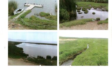 Terreno de 56 hectareas al norte de Chancay (LIM1713)