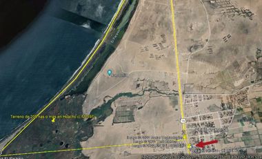 Terreno de 56 hectareas al norte de Chancay (LIM1713)