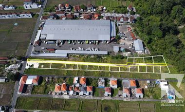 Cheap Land for Sale in Mengwi Badung Bali